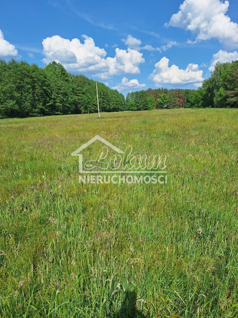 Działka inwestycyjna 3143&nbsp;m², Tanowo, Szczecińska - zdjęcie 1