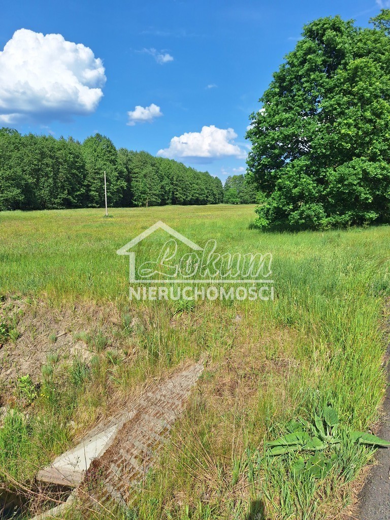 Działka inwestycyjna 3143&nbsp;m², Tanowo, Szczecińska - zdjęcie 2