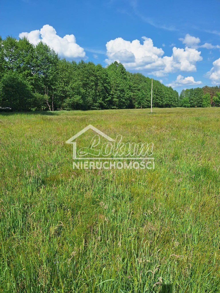 Działka inwestycyjna 3144&nbsp;m², Tanowo, Szczecińska - zdjęcie 4