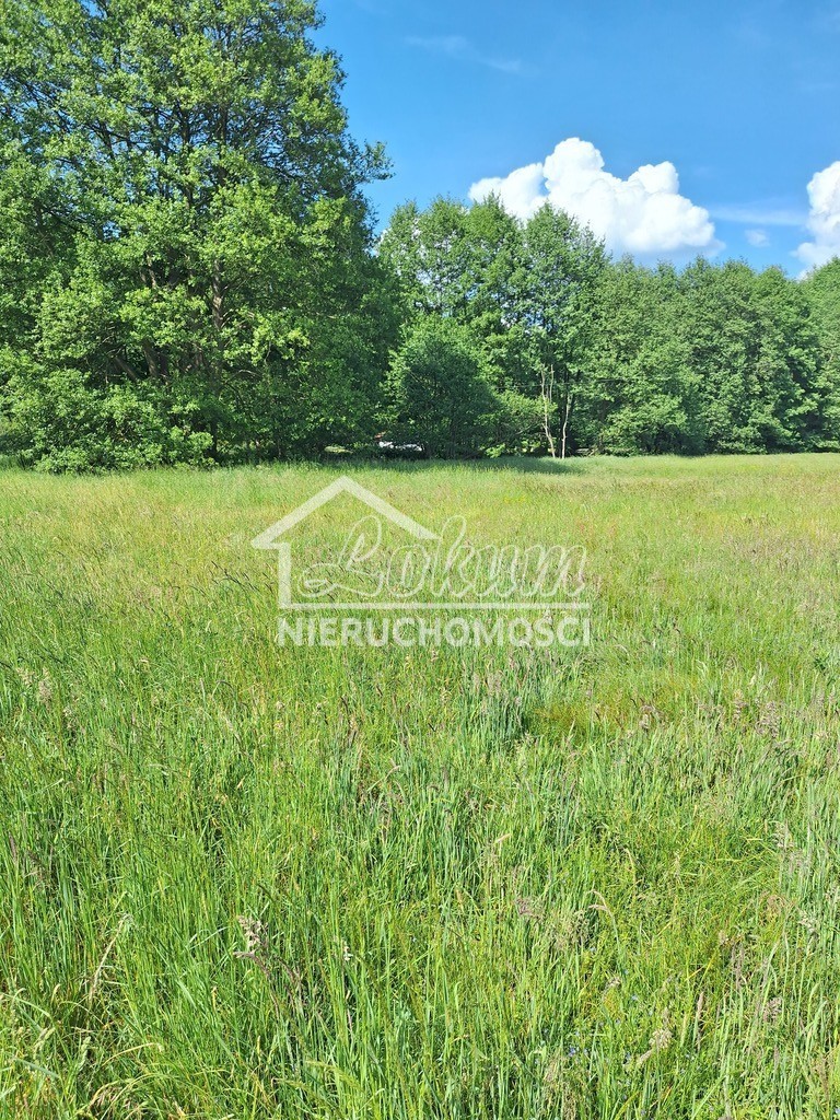 Działka inwestycyjna 3144&nbsp;m², Tanowo, Szczecińska - zdjęcie 6