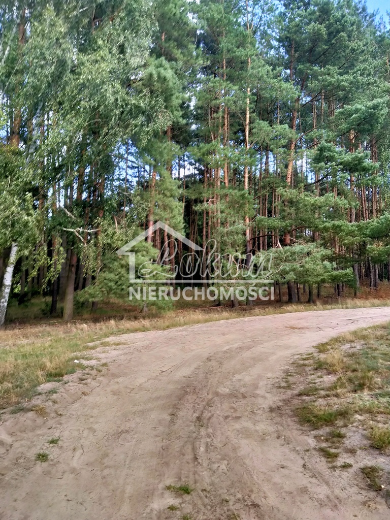 Działka inwestycyjna 3144&nbsp;m², Tanowo, Szczecińska - zdjęcie 2
