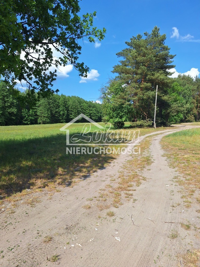 Działka inwestycyjna 3362&nbsp;m², Tanowo, Szczecińska - zdjęcie 5