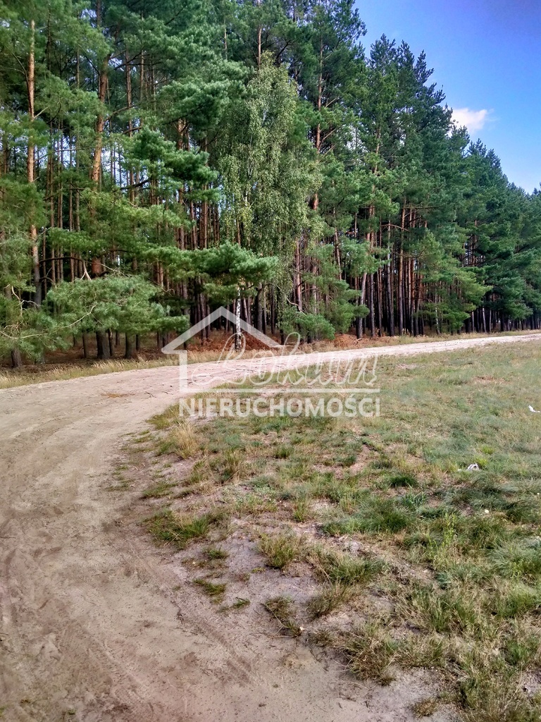 Działka inwestycyjna 3362&nbsp;m², Tanowo, Szczecińska - zdjęcie 4