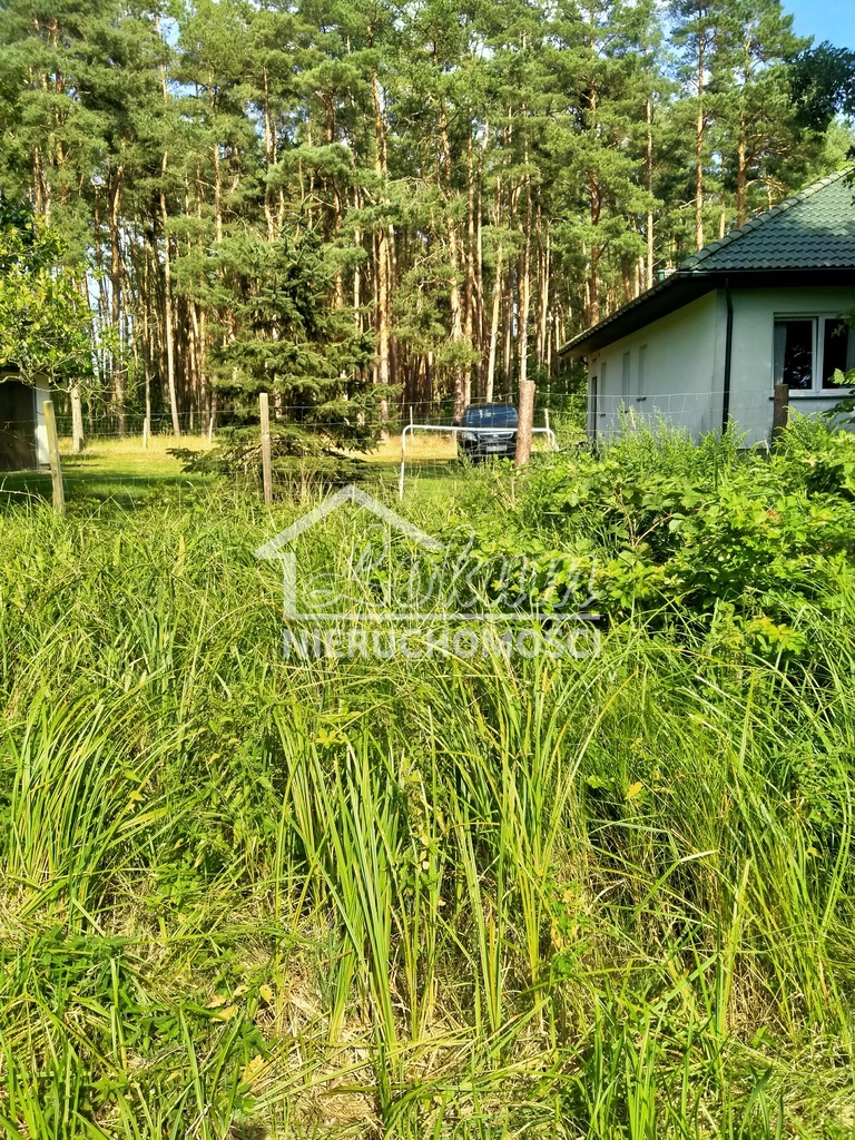 Działka inwestycyjna 3362&nbsp;m², Tanowo, Szczecińska - zdjęcie 6