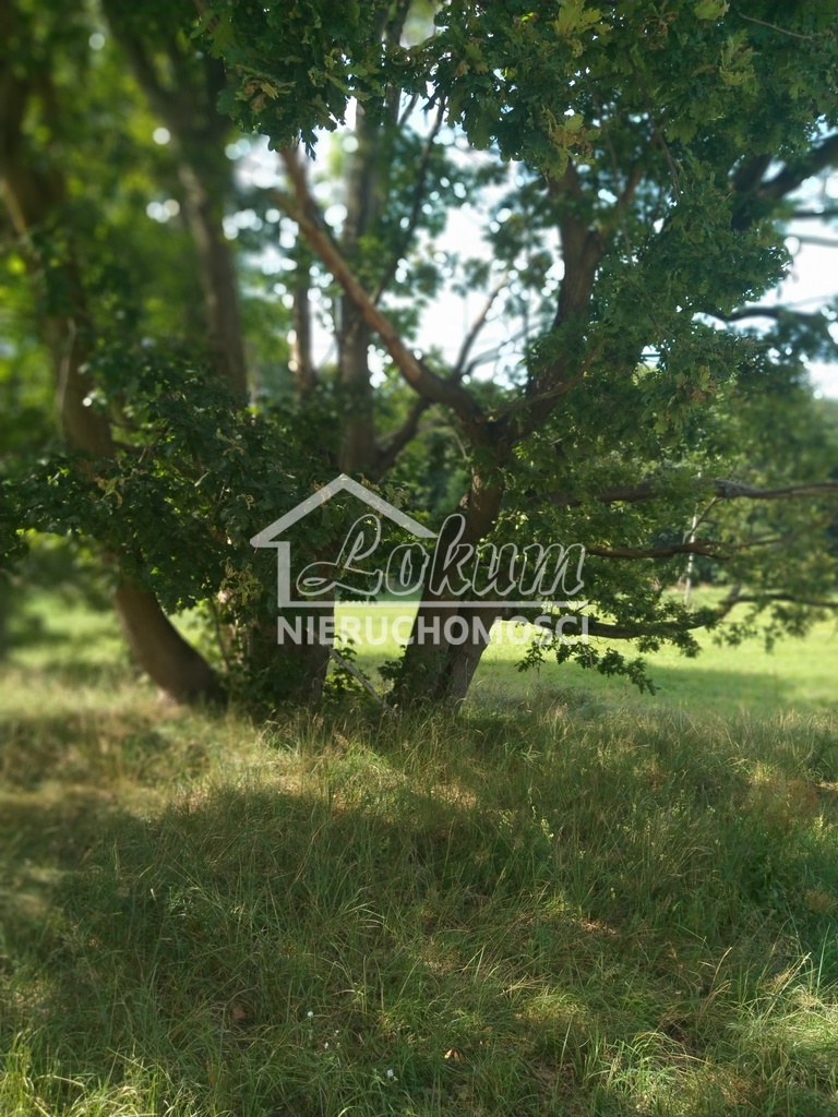 Działka inwestycyjna 3362&nbsp;m², Tanowo, Szczecińska - zdjęcie 10