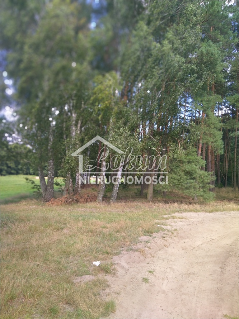 Działka inwestycyjna 3362&nbsp;m², Tanowo, Szczecińska - zdjęcie 11