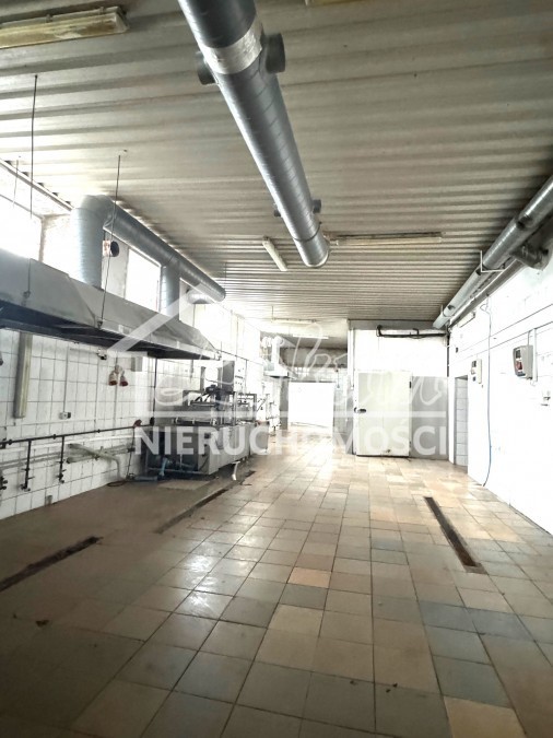 Lokal usługowy na sprzedaż, 350&nbsp;m², Ustowo - zdjęcie 4