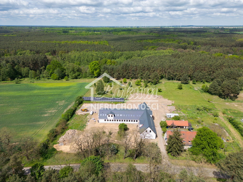 Lokal usługowy na sprzedaż, 1050&nbsp;m², Gudzisz - zdjęcie 12