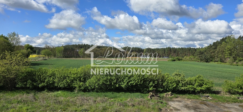 Lokal usługowy na sprzedaż, 1050&nbsp;m², Gudzisz - zdjęcie 17