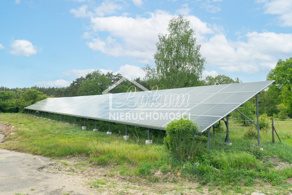 Lokal usługowy na sprzedaż, 1050&nbsp;m², Gudzisz - zdjęcie 15