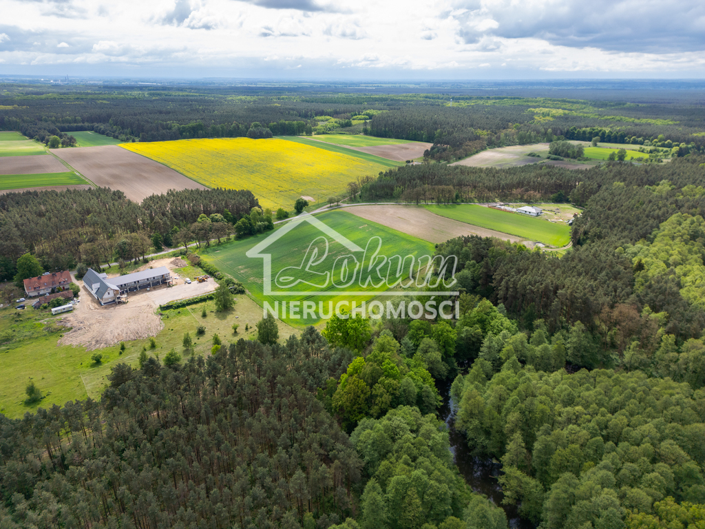 Lokal usługowy na sprzedaż, 1050&nbsp;m², Gudzisz - zdjęcie 18