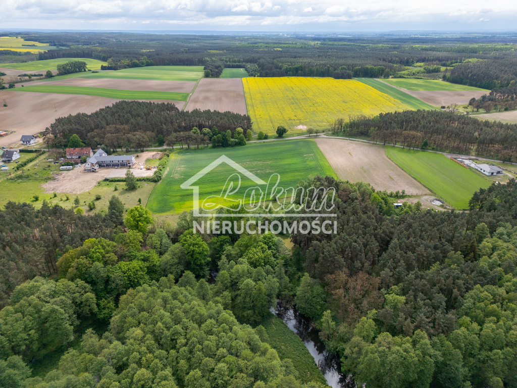 Lokal usługowy na sprzedaż, 1050&nbsp;m², Gudzisz - zdjęcie 10
