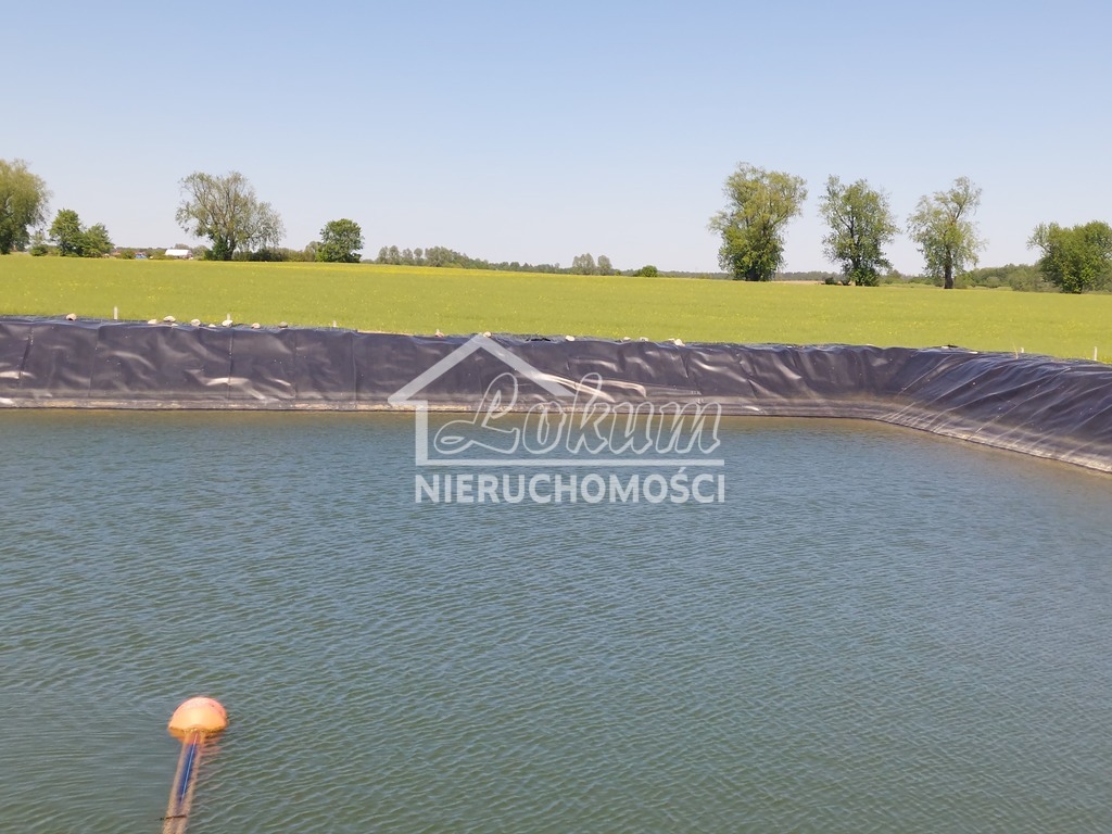 Działka rolna 50,00&nbsp;ha, Lisowo - zdjęcie 5