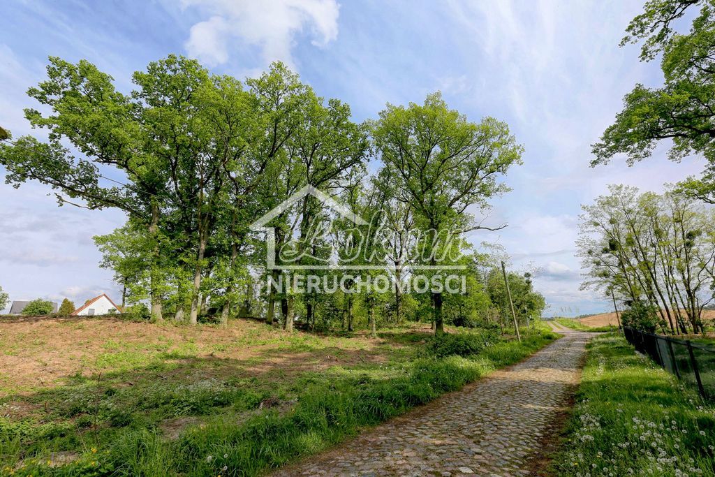 Działka budowlana 1611&nbsp;m², Dołuje - zdjęcie 1