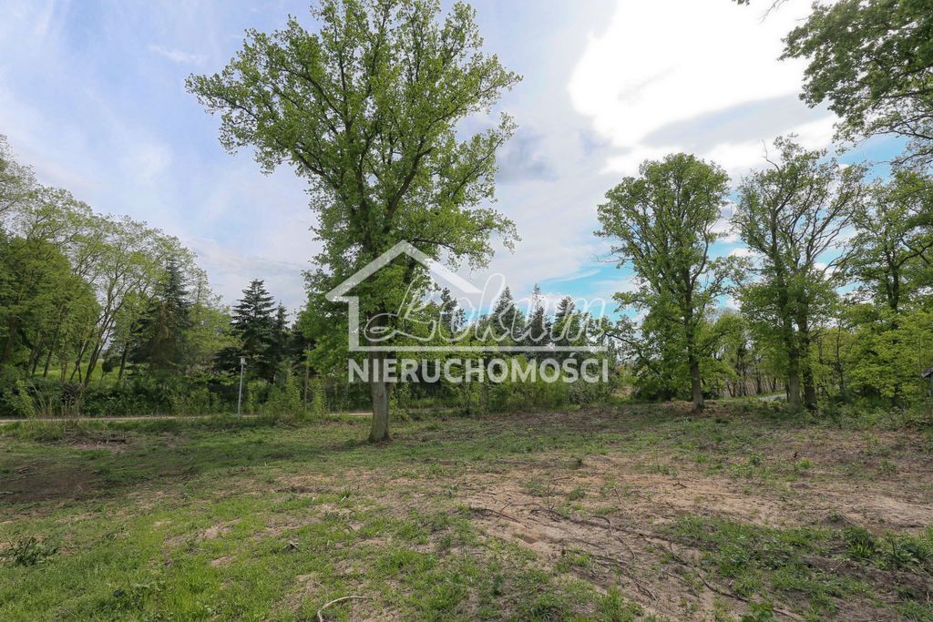 Działka budowlana 1611&nbsp;m², Dołuje - zdjęcie 12