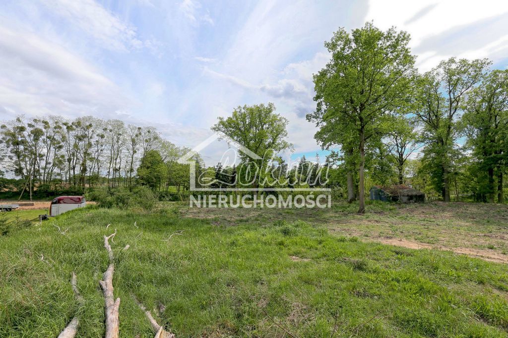 Działka budowlana 1611&nbsp;m², Dołuje - zdjęcie 3