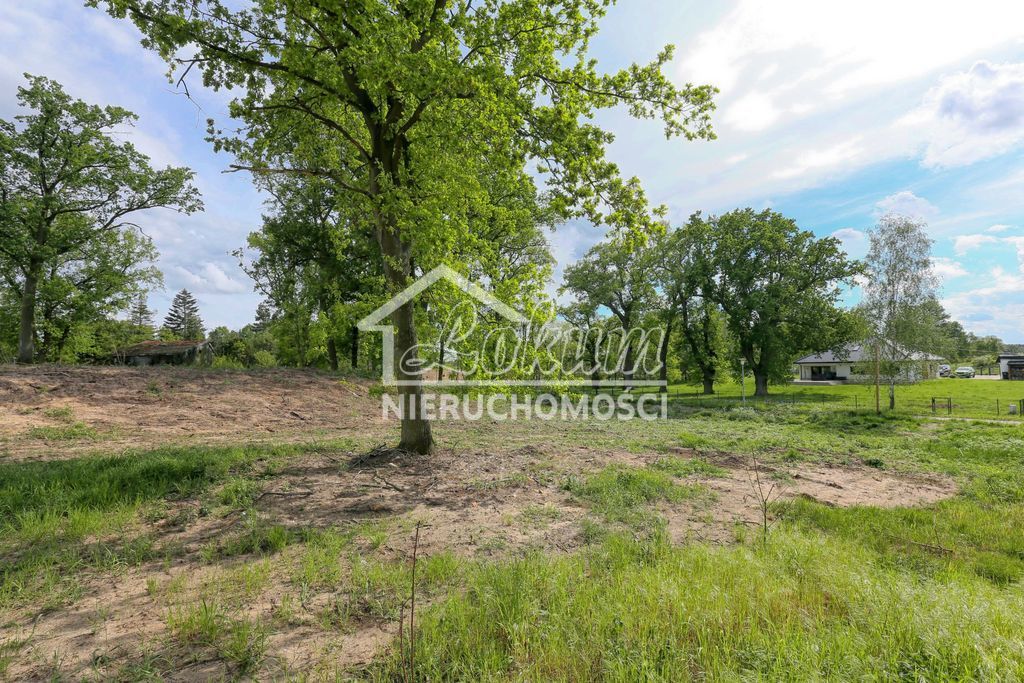 Działka budowlana 1611&nbsp;m², Dołuje - zdjęcie 10