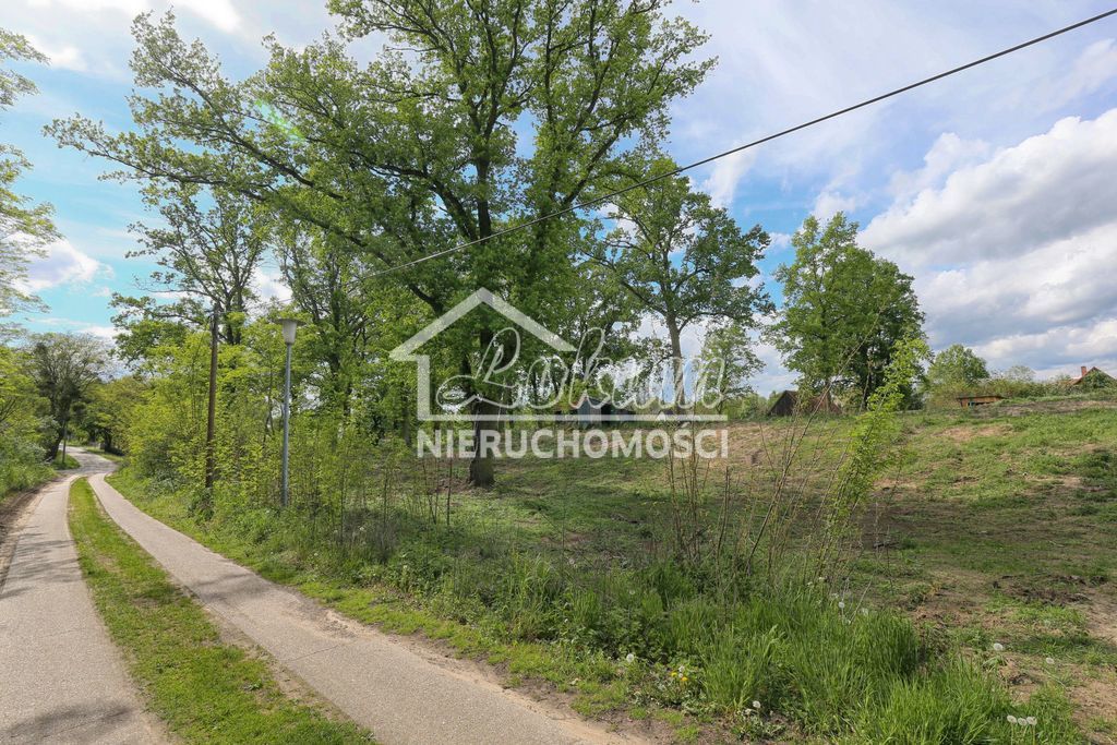 Działka budowlana 1611&nbsp;m², Dołuje - zdjęcie 6