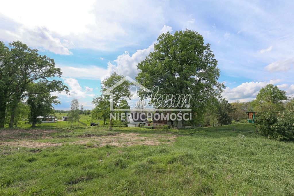 Działka budowlana 1611&nbsp;m², Dołuje - zdjęcie 2