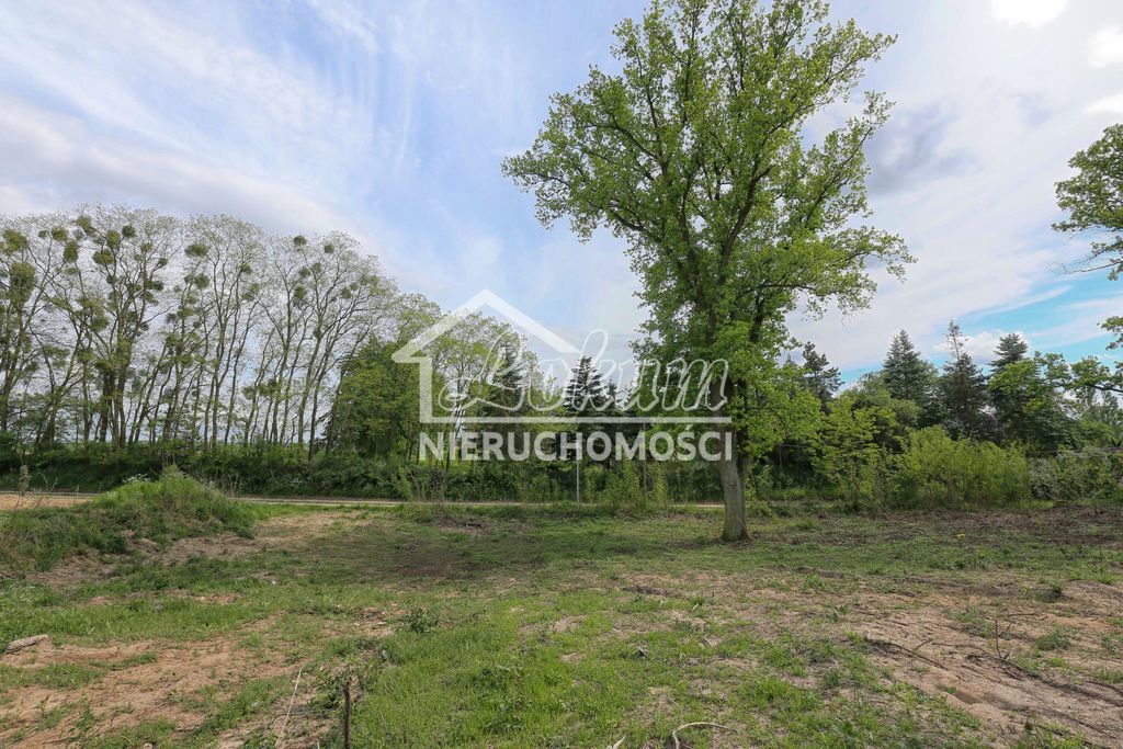 Działka budowlana 1611&nbsp;m², Dołuje - zdjęcie 11