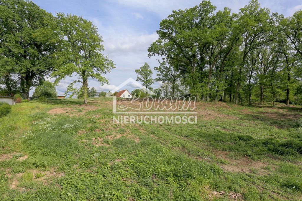 Działka budowlana 1611&nbsp;m², Dołuje - zdjęcie 9