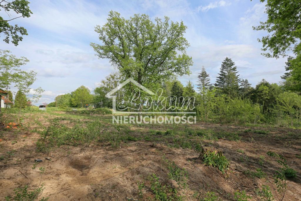 Działka budowlana 1611&nbsp;m², Dołuje - zdjęcie 13