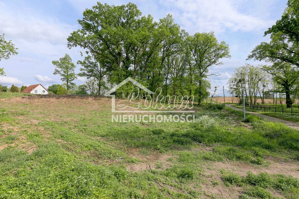 Działka budowlana 1611&nbsp;m², Dołuje - zdjęcie 4