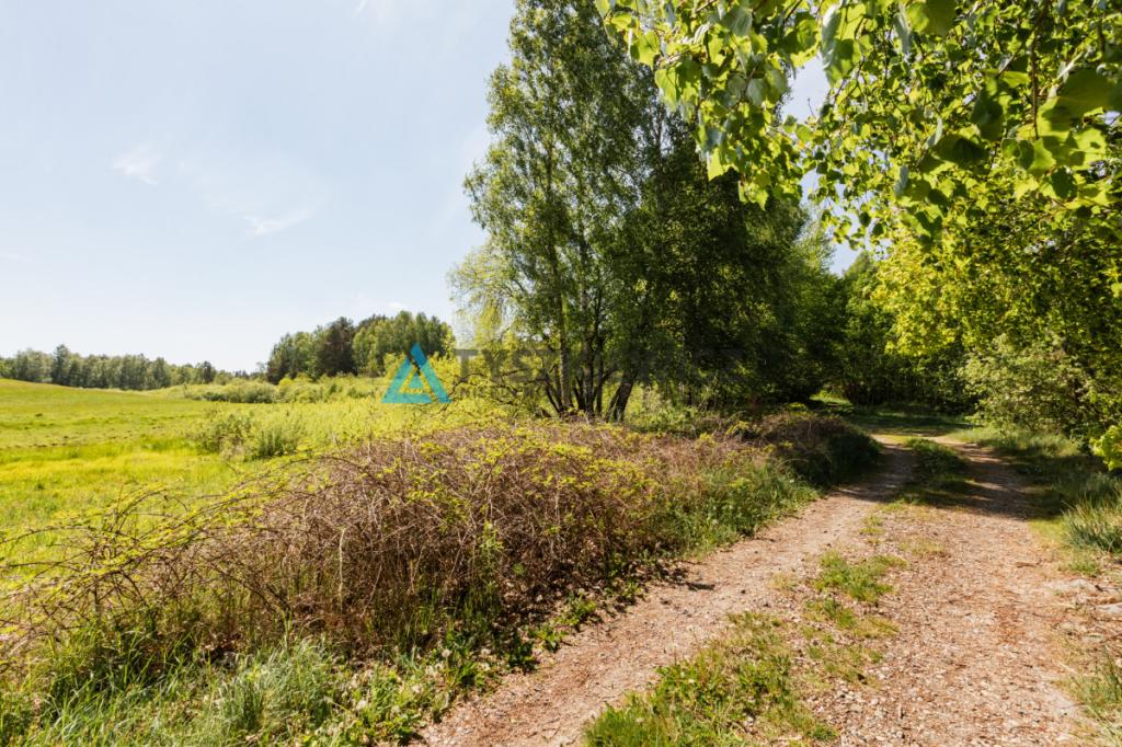 Atrakcyjna działka nad jeziorem 4500m2 - zdjęcie 2