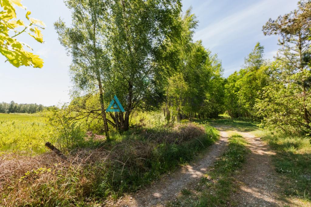 Atrakcyjna działka nad jeziorem 4500m2 - zdjęcie 6