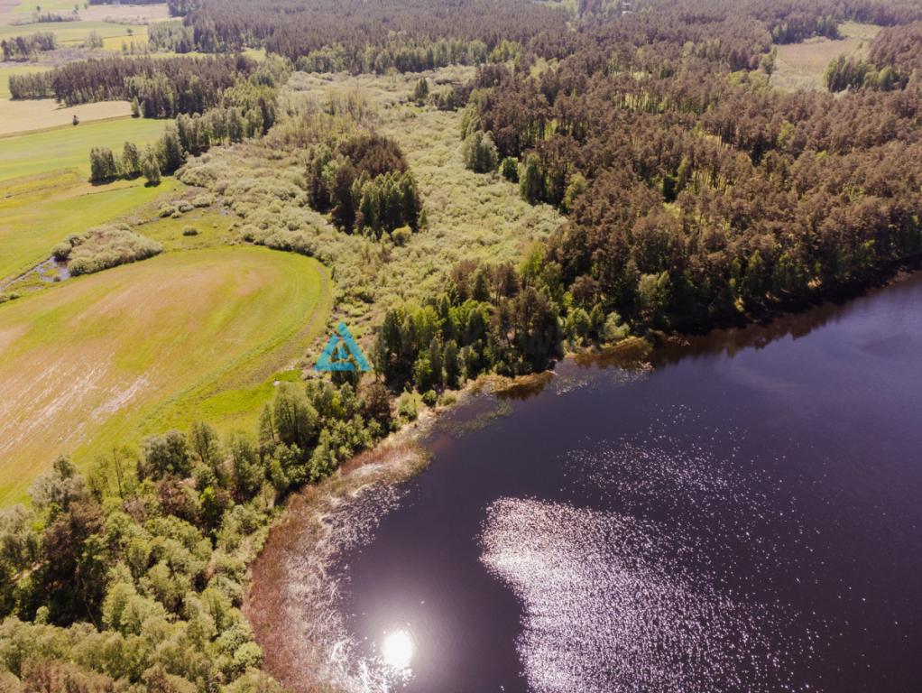 Atrakcyjna działka nad jeziorem 4500m2 - zdjęcie 14