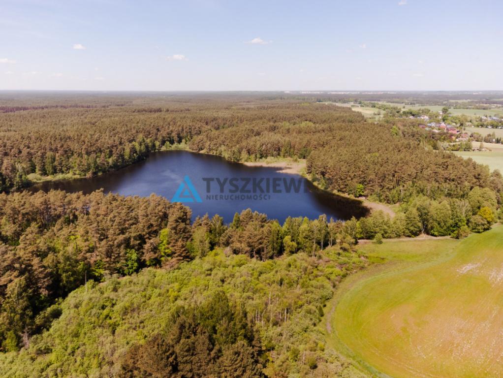 Atrakcyjna działka nad jeziorem 4500m2 - zdjęcie 3