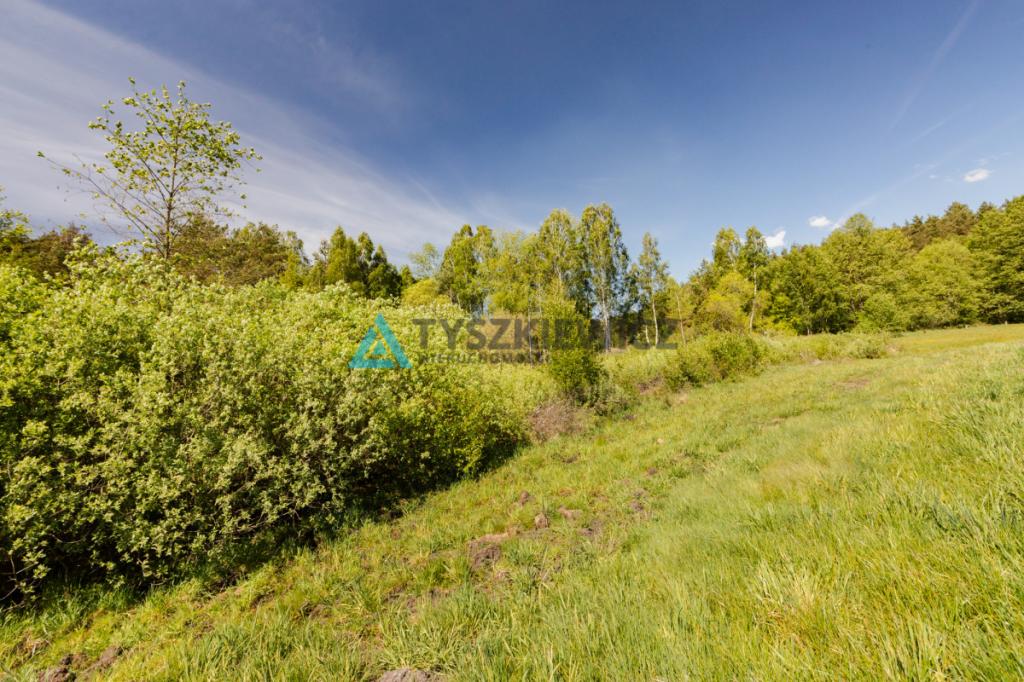 Atrakcyjna działka nad jeziorem 4500m2 - zdjęcie 4