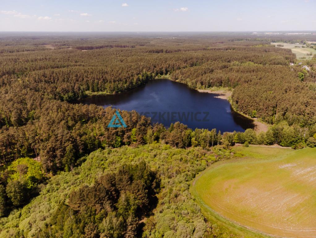 Atrakcyjna działka nad jeziorem 4500m2 - zdjęcie 10