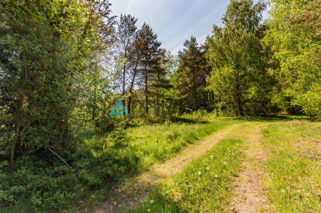 Atrakcyjna działka nad jeziorem 4500m2 - zdjęcie 7