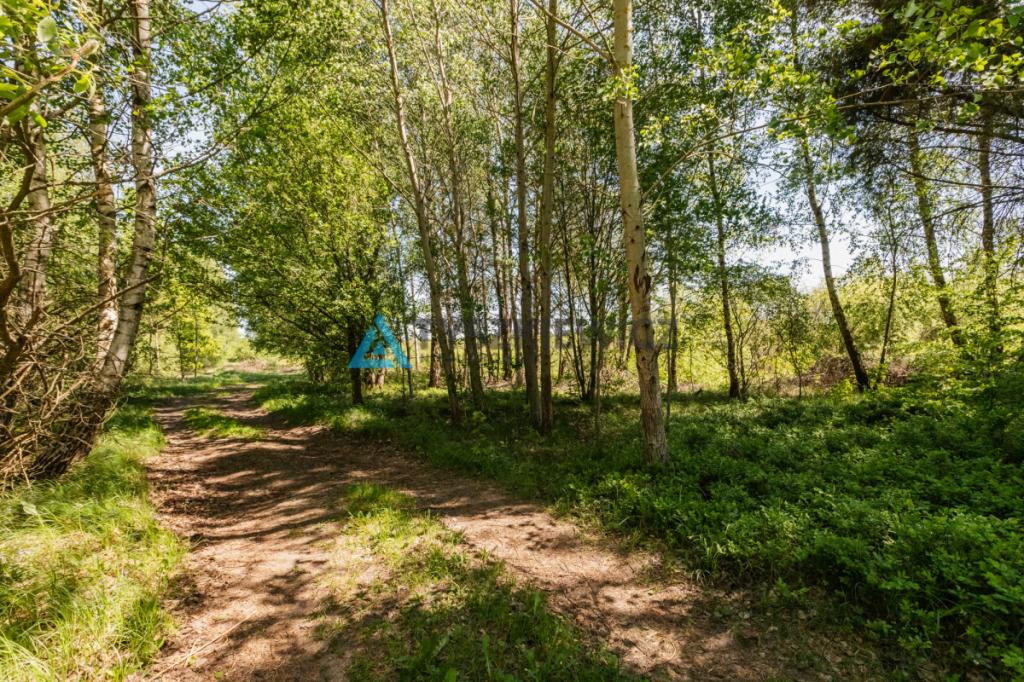 Atrakcyjna działka nad jeziorem 4500m2 - zdjęcie 9