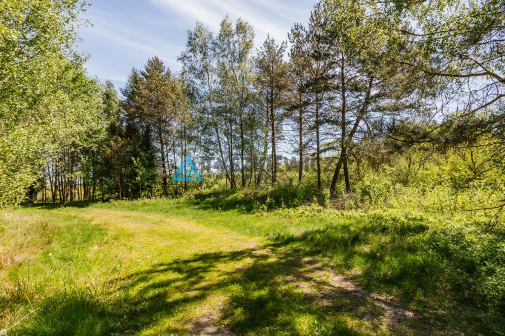 Atrakcyjna działka nad jeziorem 4500m2 - zdjęcie 8