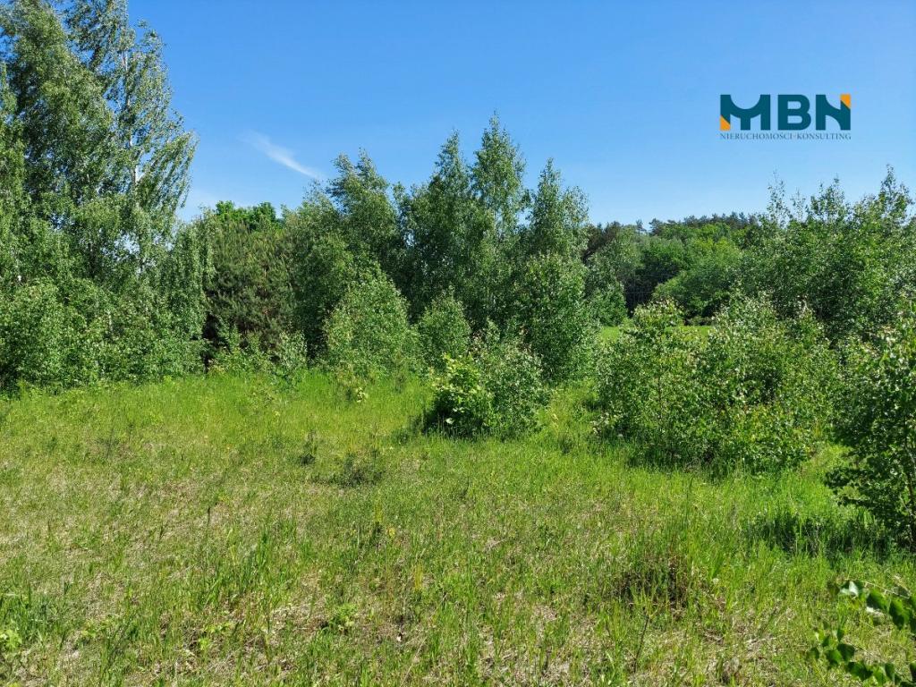 Działka budowlana 3653&nbsp;m², Miłki - zdjęcie 6