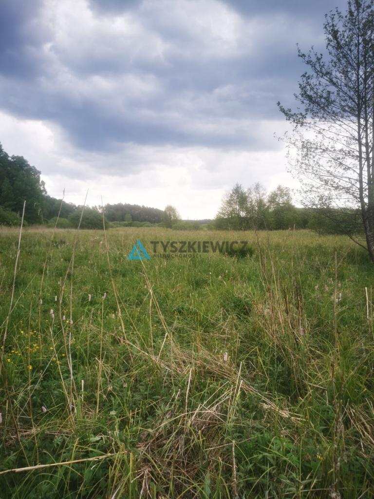 Łaki i Rola , w uroczym miejscu, w okazyjnej cenie - zdjęcie 10