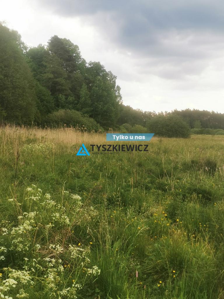 Łaki i Rola , w uroczym miejscu, w okazyjnej cenie - zdjęcie 1