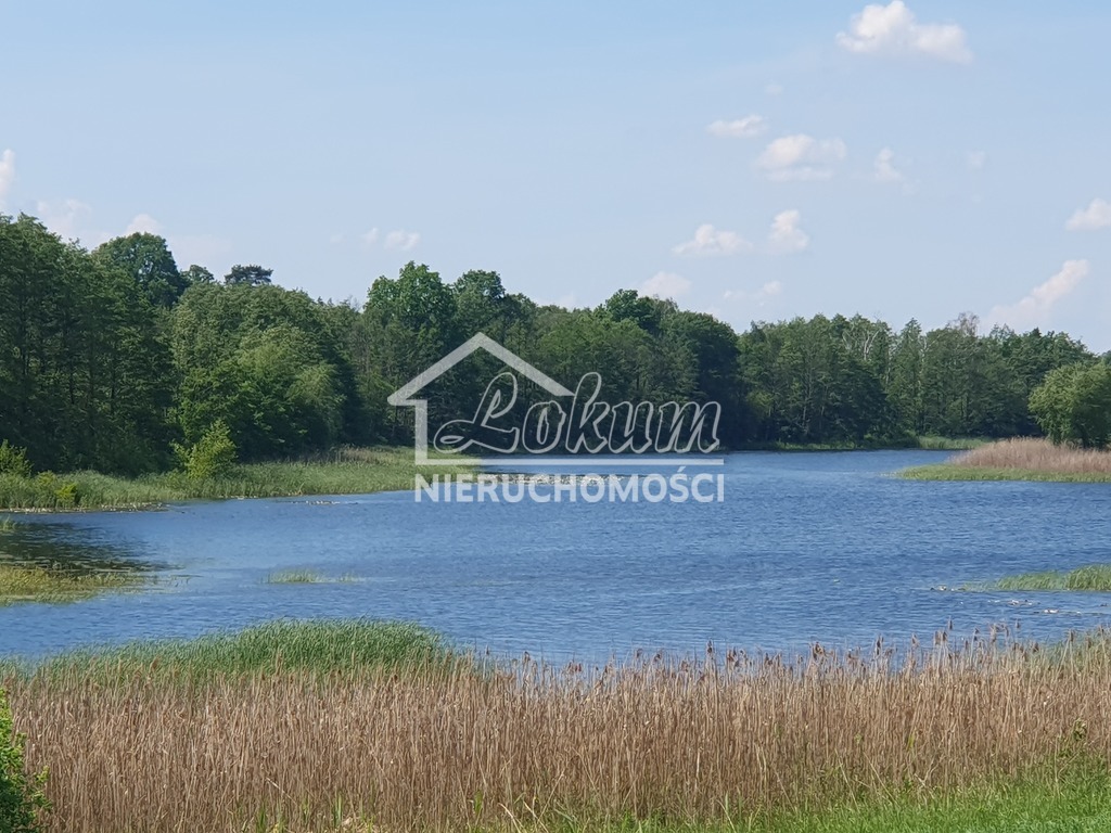 Działka rolna 3030&nbsp;m², Zieleniewo - zdjęcie 4