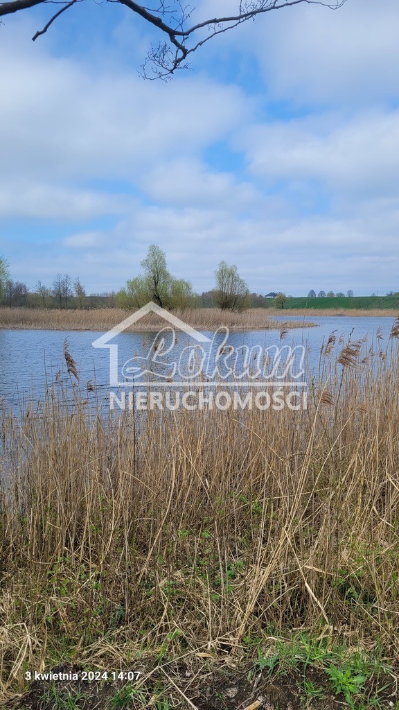 Działka rolna 3030&nbsp;m², Zieleniewo - zdjęcie 1