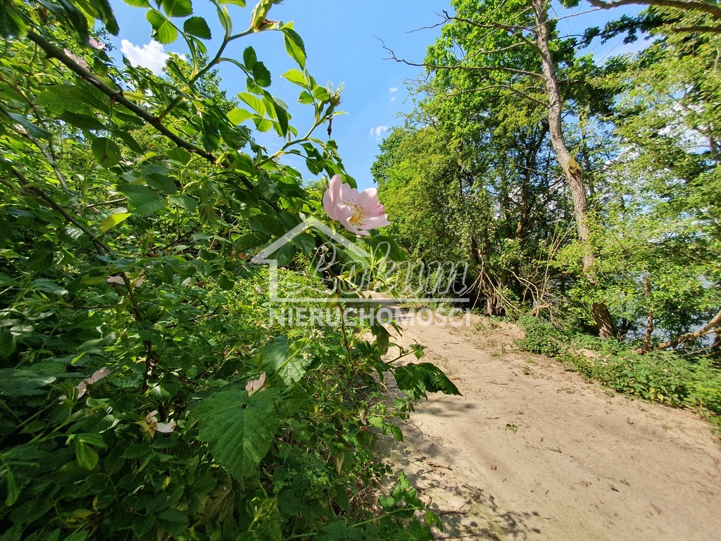 Działka rolna 3030&nbsp;m², Zieleniewo - zdjęcie 5