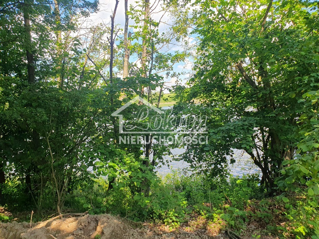 Działka rolna 3030&nbsp;m², Zieleniewo - zdjęcie 2