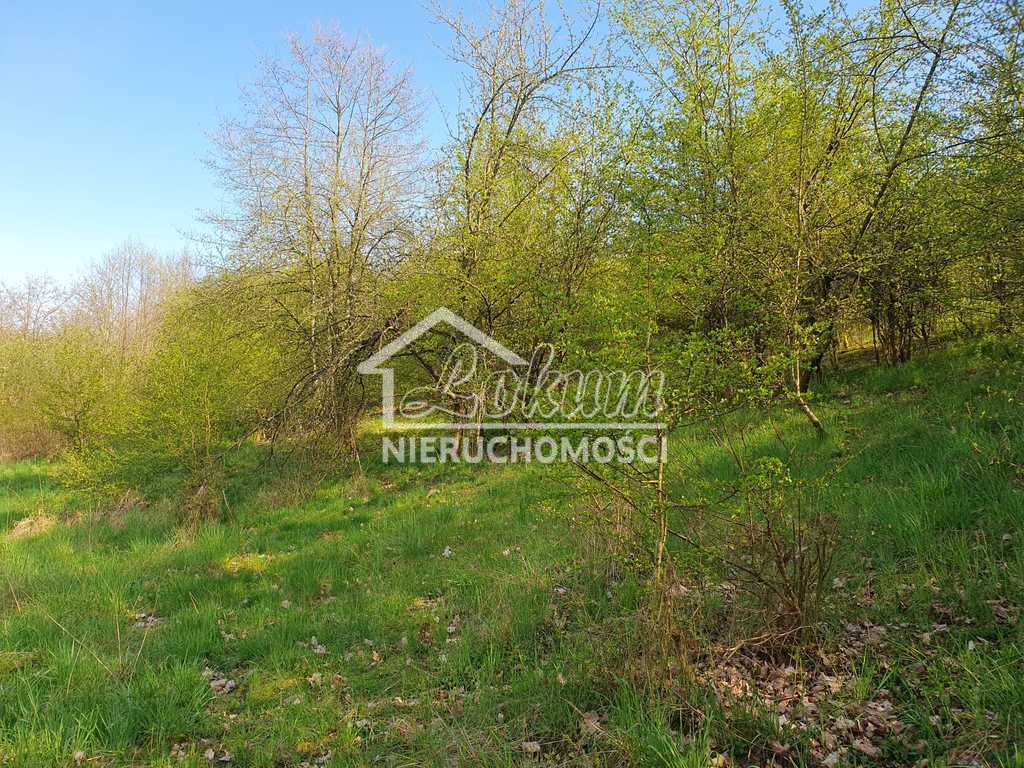 Działka rolna 3030&nbsp;m², Zieleniewo - zdjęcie 8