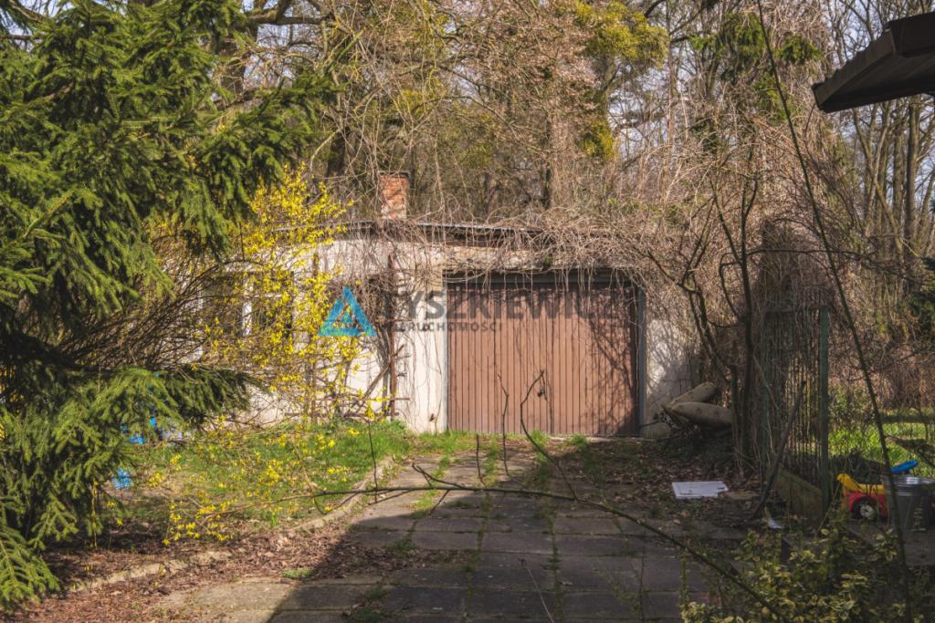 Mieszkanie w otulinie lasów k. Pelplina - zdjęcie 22