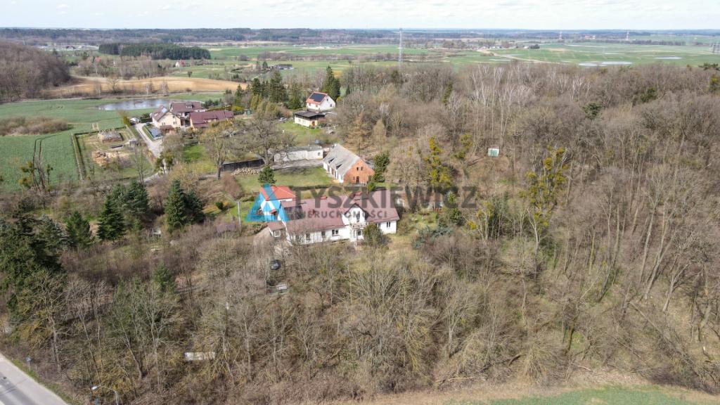 Mieszkanie w otulinie lasów k. Pelplina - zdjęcie 26