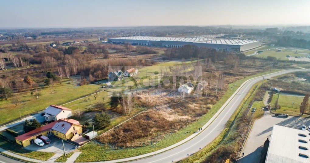 Działka rolna 2,28 ha, Rusiec - zdjęcie 3