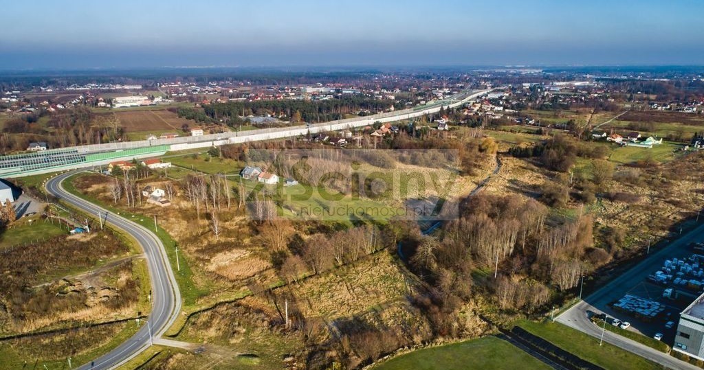 Działka rolna 2,28 ha, Rusiec - zdjęcie 4