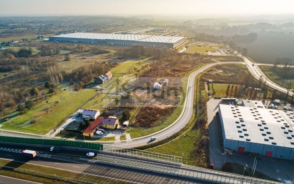 Działka rolna 2,28 ha, Rusiec - zdjęcie 2