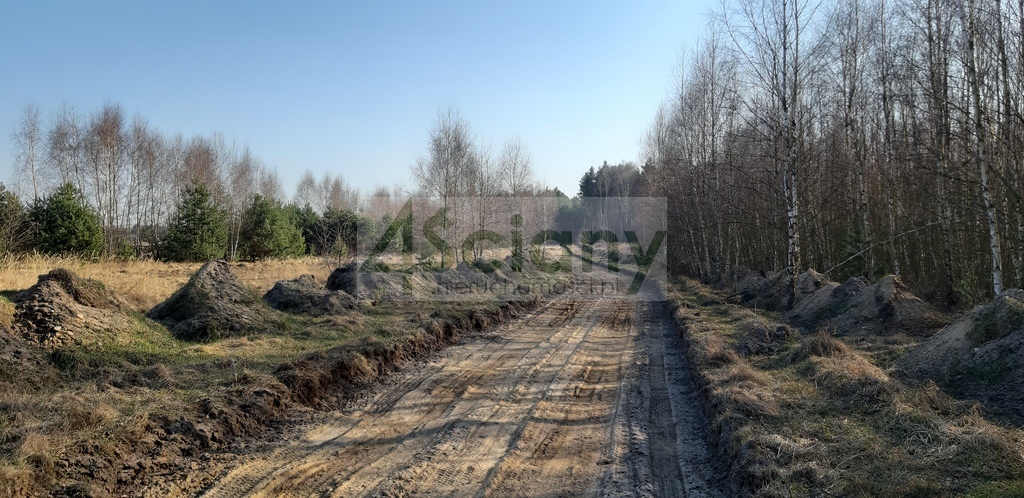 Działka gospodarstwo 3000 m², Wycześniak - zdjęcie 1